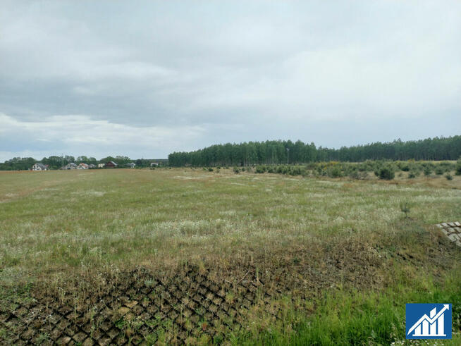 Działka przemysłowa Sobin gm. Polkowice, Myśliwska