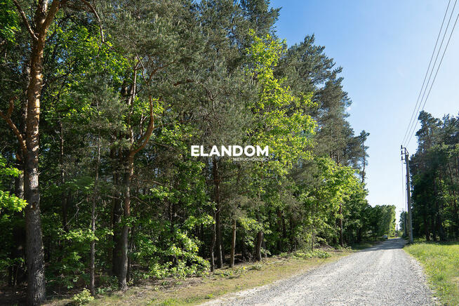 Atrakcyjna działka budowlana Dziechciniec