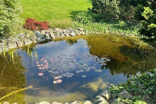 ECO 30 - FILTR STAWOWY - (20-60 tys. litrów wody)