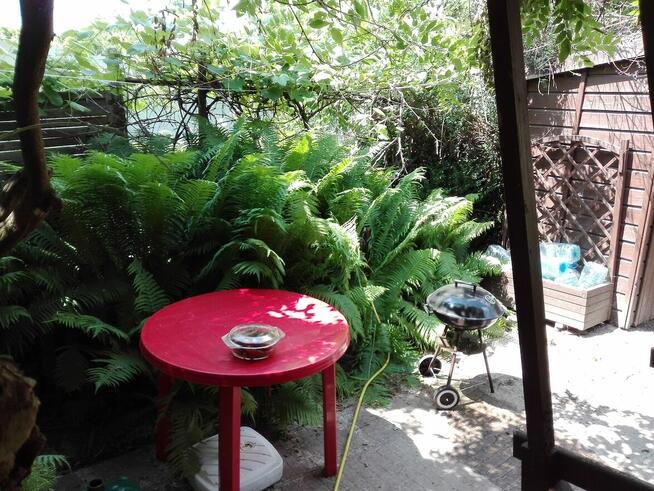 Sprzedam działkę rekreacyjna ROD Pod Lipami Poznań