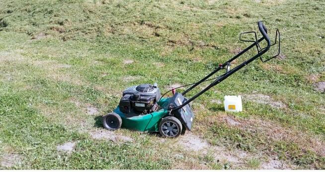 Koszenie trawy pomoc w ogrodzie