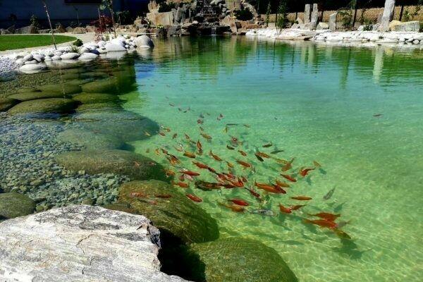 ECO 80 - FILTR STAWOWY - (60-140 tys. litrów wody)