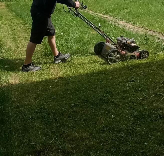 Koszenie trawy pomoc w ogrodzie