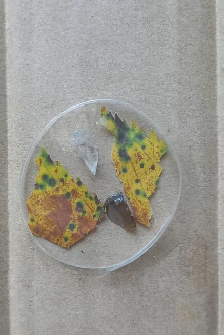 Biżuteria, dodatki, ozdoby, bibeloty z żywicy epoksydowej