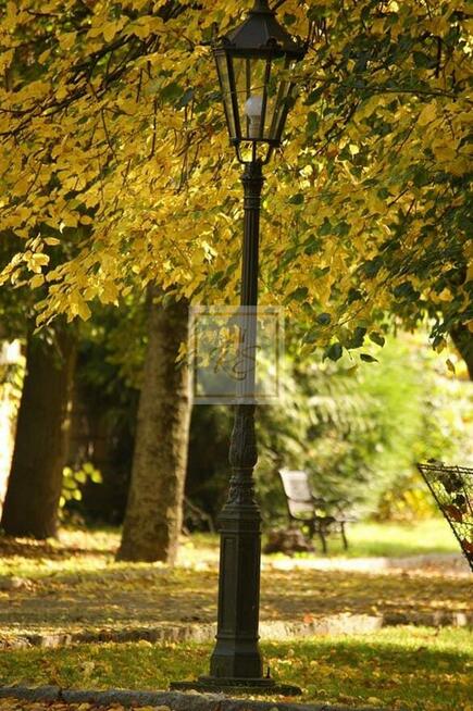 Lokal użytkowy Stęszew