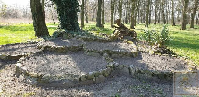 Lokal użytkowy Stęszew