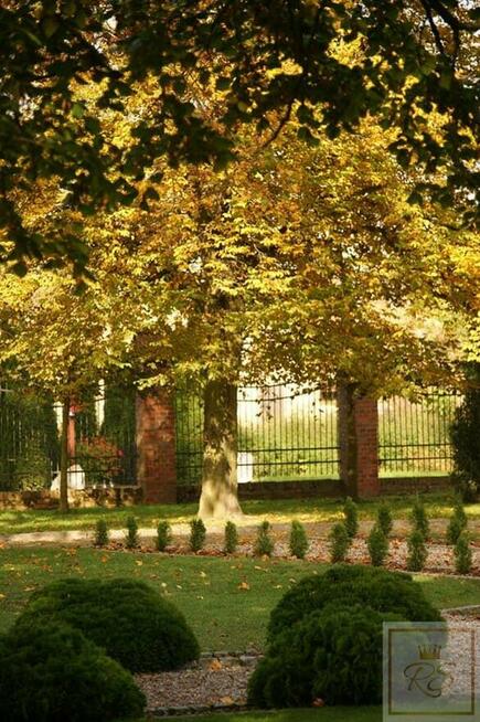 Lokal użytkowy Stęszew