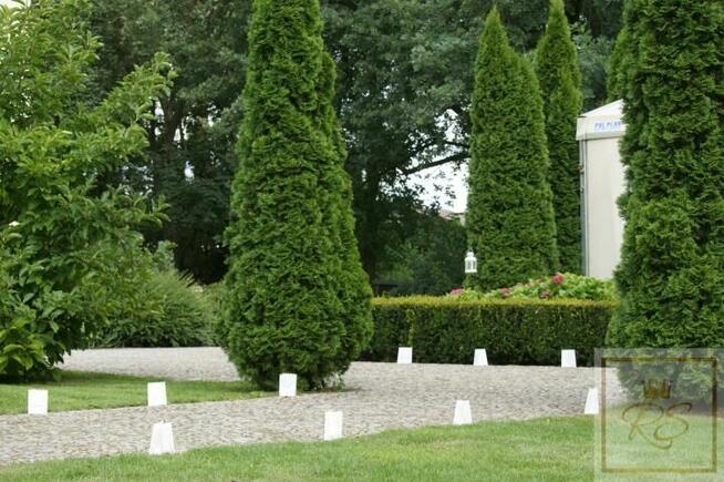 Lokal użytkowy Stęszew