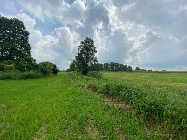 Działki rolne z lasem i łąką, Jeleniec