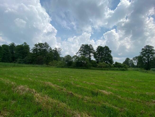 Działki rolne z lasem i łąką, Jeleniec