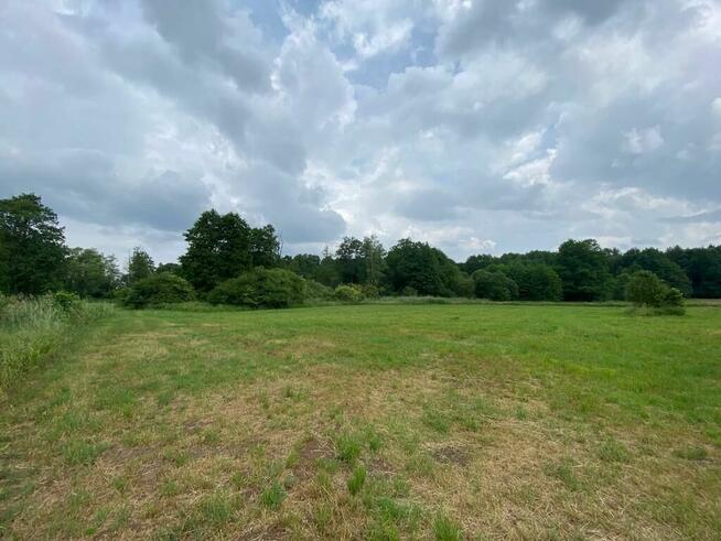 Działki rolne z lasem i łąką, Jeleniec