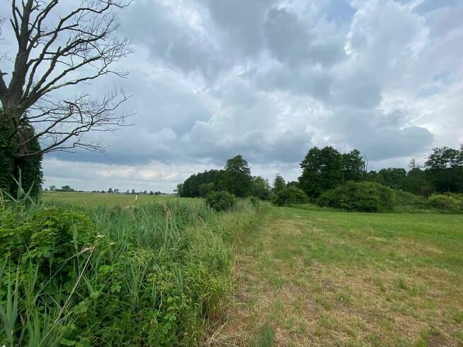 Działki rolne z lasem i łąką, Jeleniec