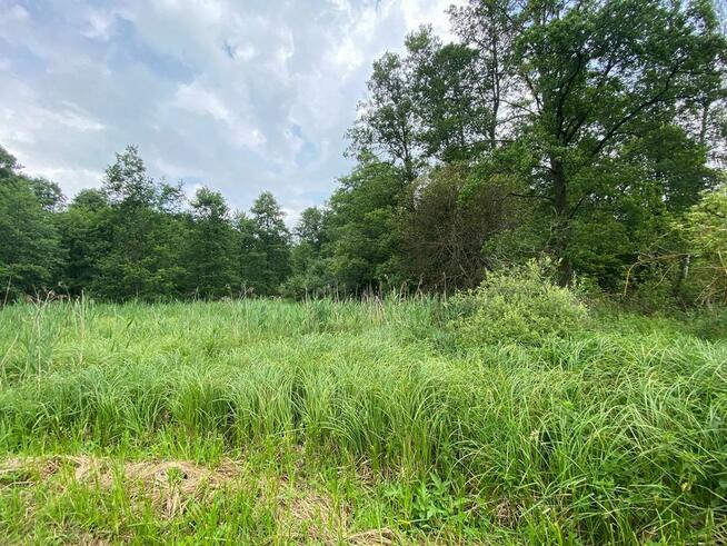 Działki rolne z lasem i łąką, Jeleniec