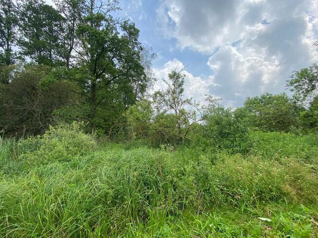 Działki rolne z lasem i łąką, Jeleniec