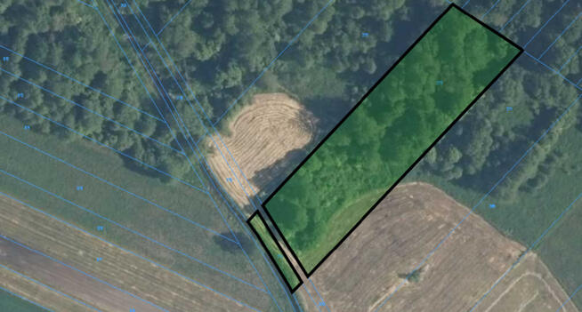 Działki rolne z lasem i łąką, Jeleniec