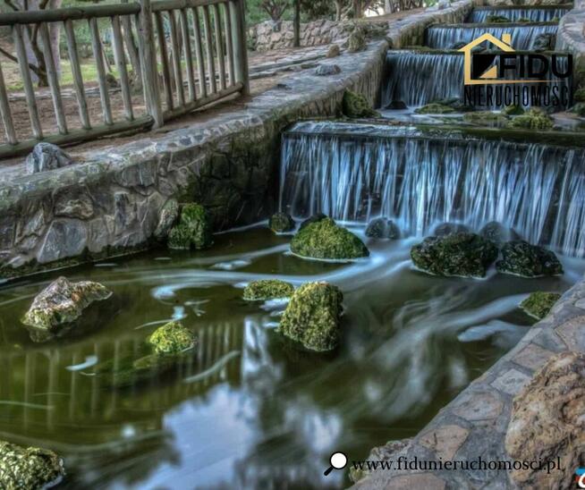 Domy w Guardamar del Segura Hiszpania Costa Blanca