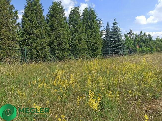 Działka w pobliżu lasu