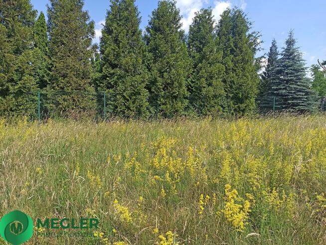 Działka w pobliżu lasu