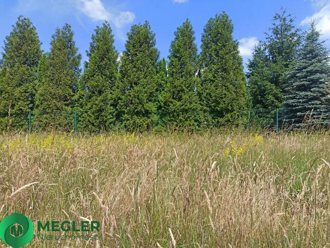 Działka w pobliżu lasu