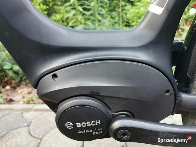 GAZELLE ORANGE C8 PREMIUM Rama L46 na 155-170cm JAK NOWY