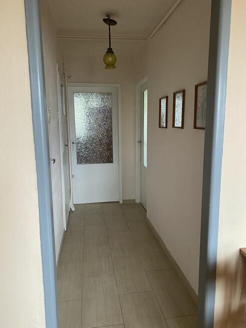 Śródmieście Łódź ul. Uniwersytecka 42/44 m. 20