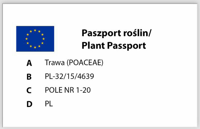 Trawa w rolce PREMIUM TRAWNIK POLSKI