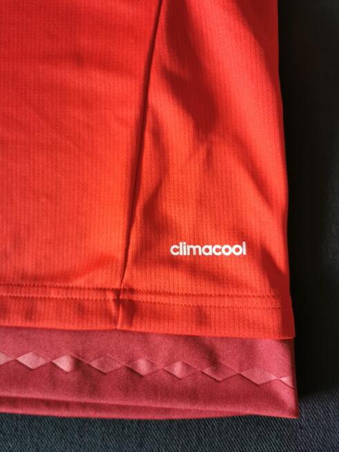 Bayern Lewandowski KOSZULKA SZALIK 2015-2016 Dla pasjonata