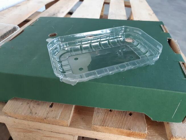 Nowe pojemniki plastikowe na owoce punetki 0,5 0,25 0,125 kg