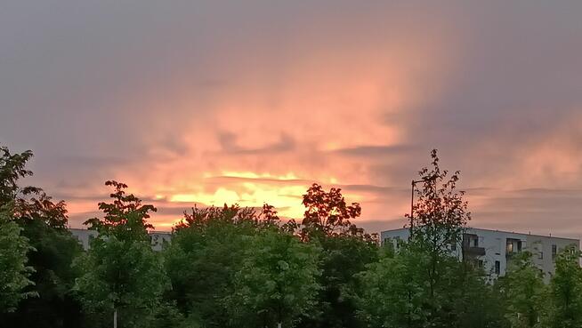 zajęcie na sobotę z możliwością wypłaty po pracy