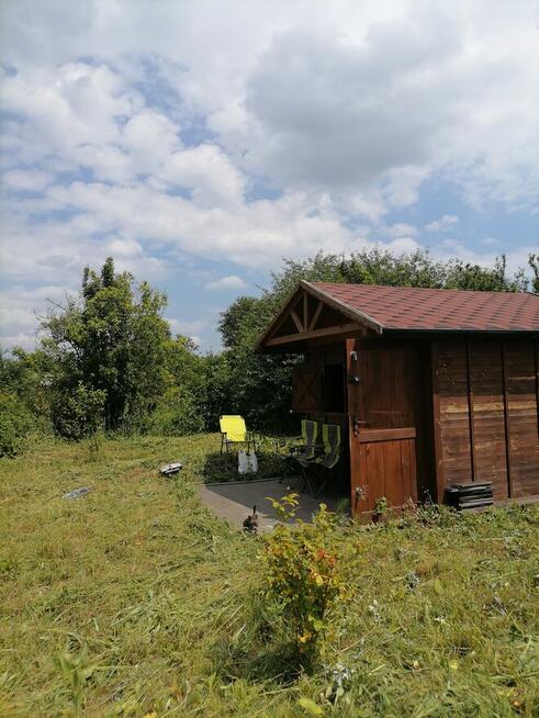 Działka rekreacyjna ROD Bażant na Psim Polu