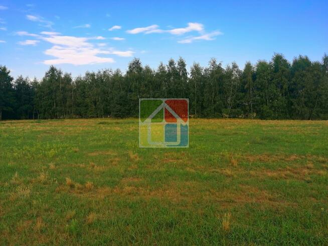 Działka budowlana z lasem 3,94 ha