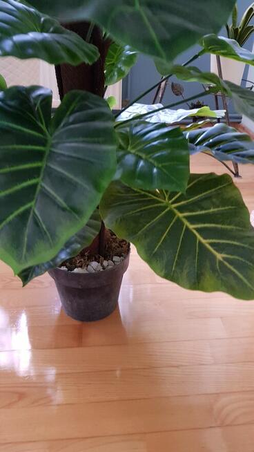 Sztuczny Filodendron – Monstera