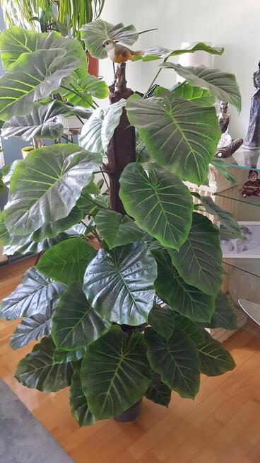 Sztuczny Filodendron – Monstera
