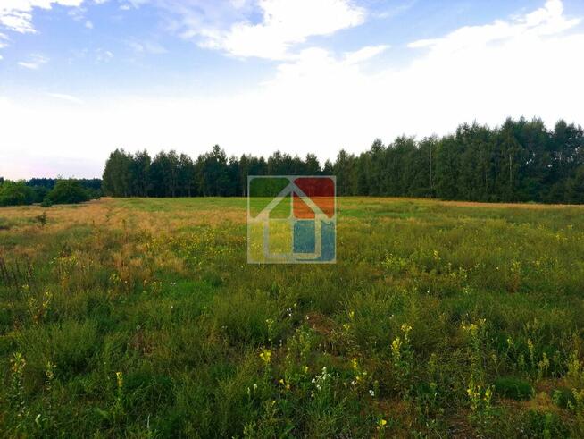 Działka budowlana z lasem 3,94 ha