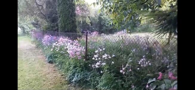 Działka rekreacyjna • ROD Andrychów