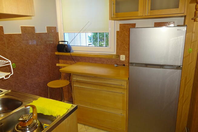 Kawalerka na Dąbrowie