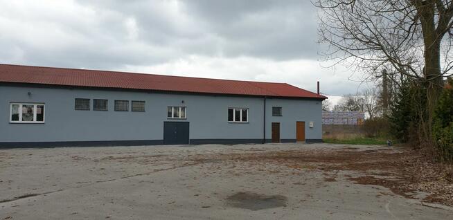 HALA 651 m2 z parkingiem 1500 m2 ogrodzonym