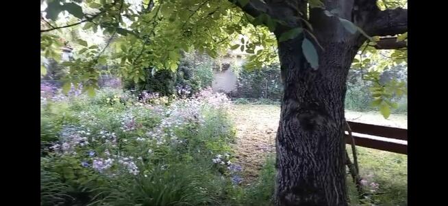 Działka rekreacyjna • ROD Andrychów