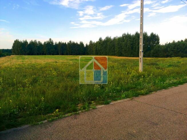 Działka budowlana z lasem 3,94 ha