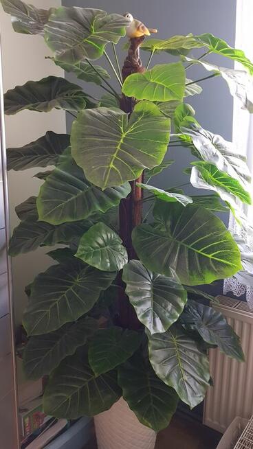 Sztuczny Filodendron – Monstera