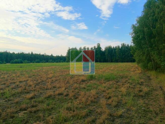 Działka budowlana z lasem 3,94 ha