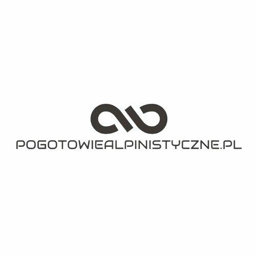 Profesjonalne prace wysyokościowe, usługi alpinistyczne.