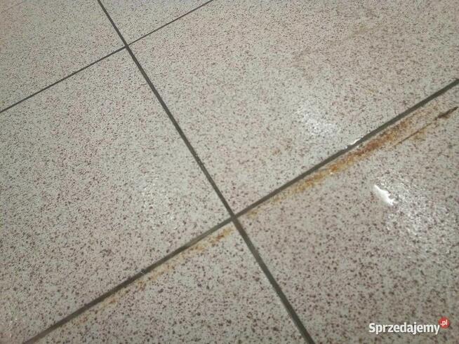 Czyszczenie Pranie Dezynfekcja Sprzątanie Domu i Biur