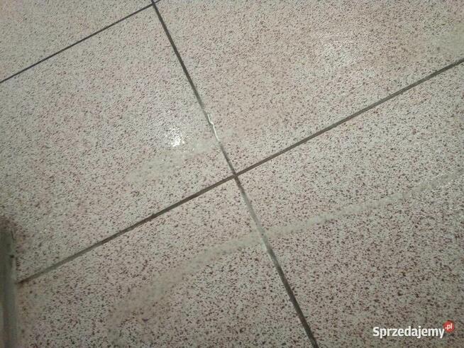 Czyszczenie Pranie Dezynfekcja Sprzątanie Domu i Biur