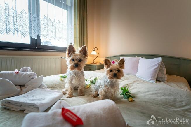 Pokoje Szklarska Poręba