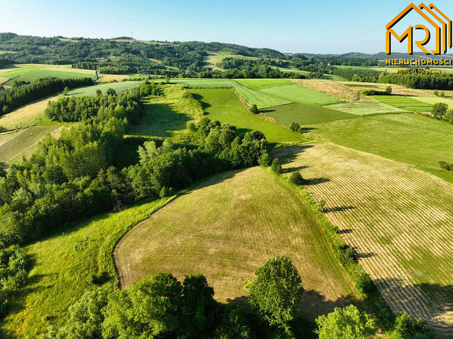 Działka rolna Wola Lubecka gm. Ryglice