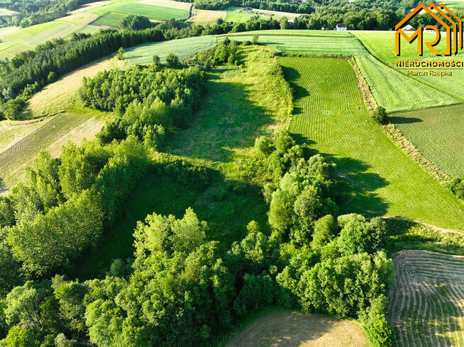 Działka rolna Wola Lubecka gm. Ryglice