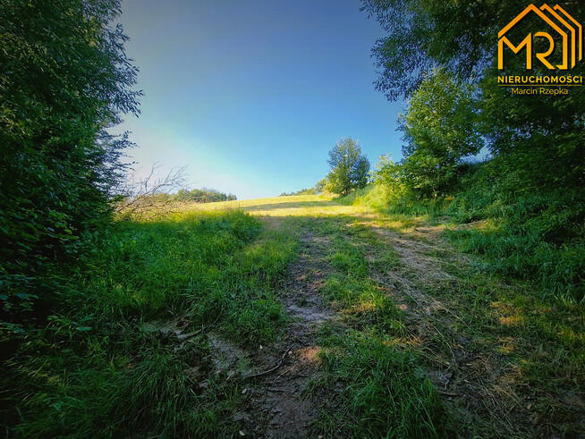 Działka rolna Wola Lubecka gm. Ryglice