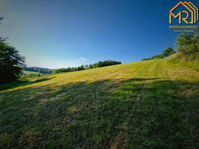 Działka rolna Wola Lubecka gm. Ryglice