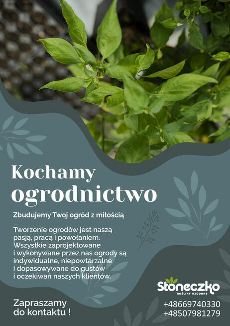 Zakładanie ogrodów Piła, system nawadniania, zakładanie traw